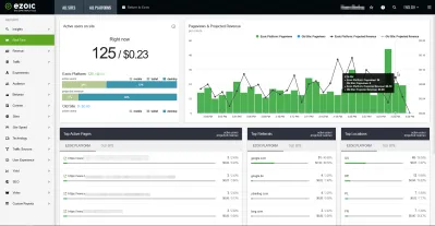 Hvordan kan du se dine hjemmesider Real Time Earning Og besøg?